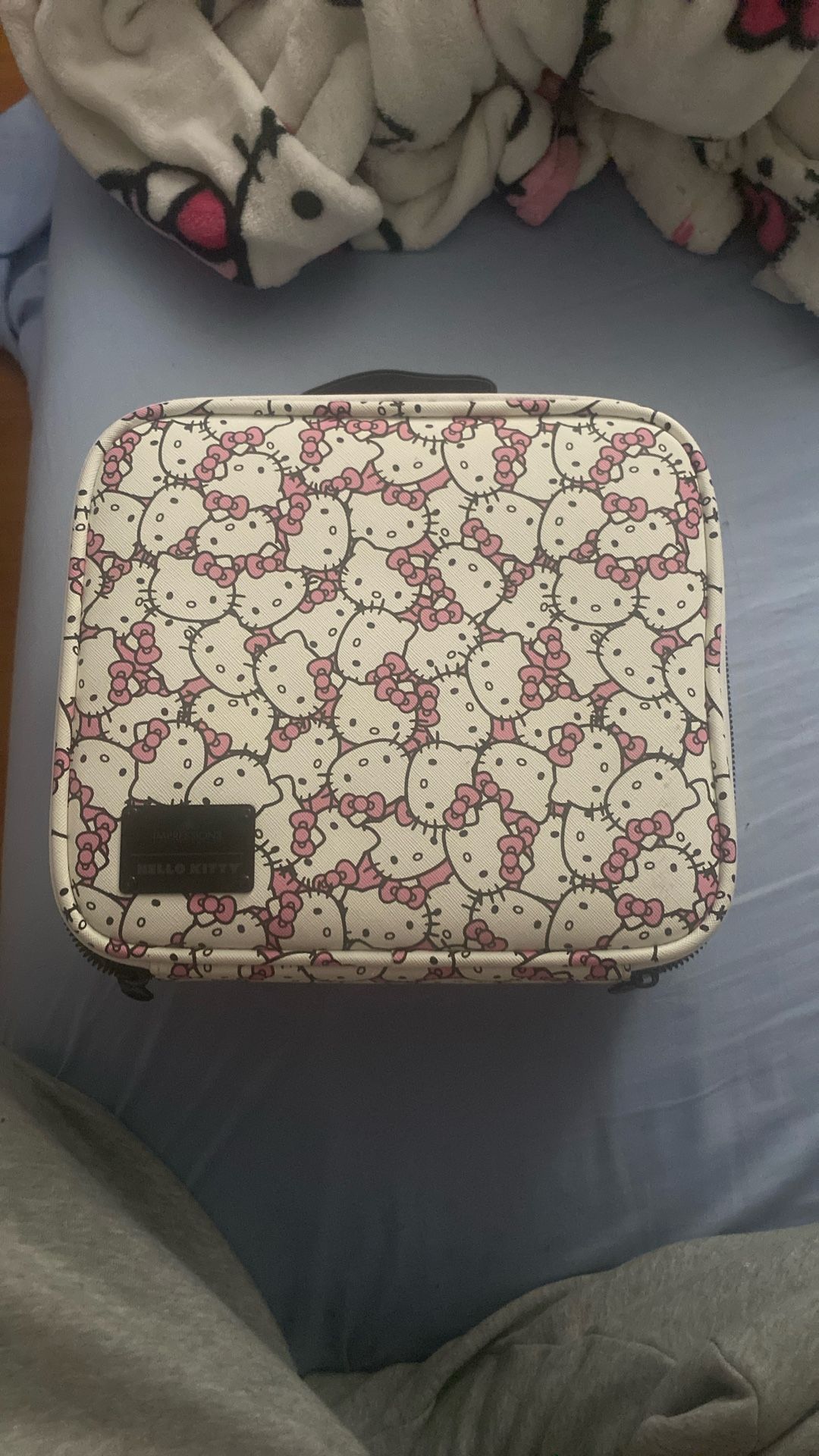 Hello kitty makeup carrier