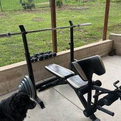 Bench Press With Dumbbells 