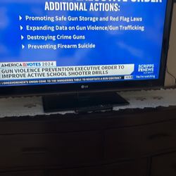 43 Inch Digital TV & Monitor LG