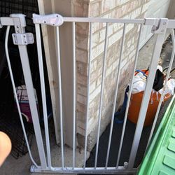 29” Walk Through Gate