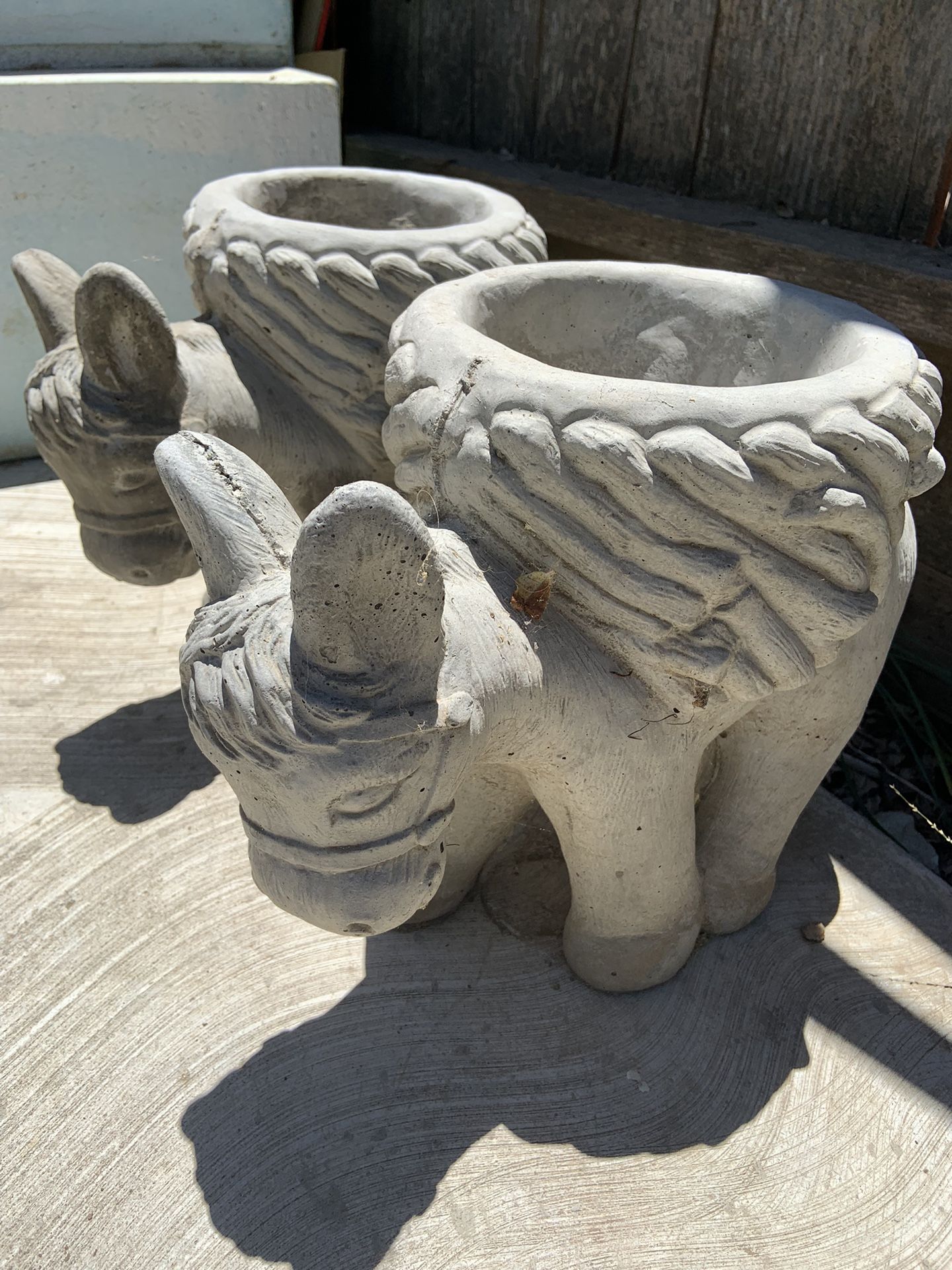 Concrete Donkeys . Burros De Concreto