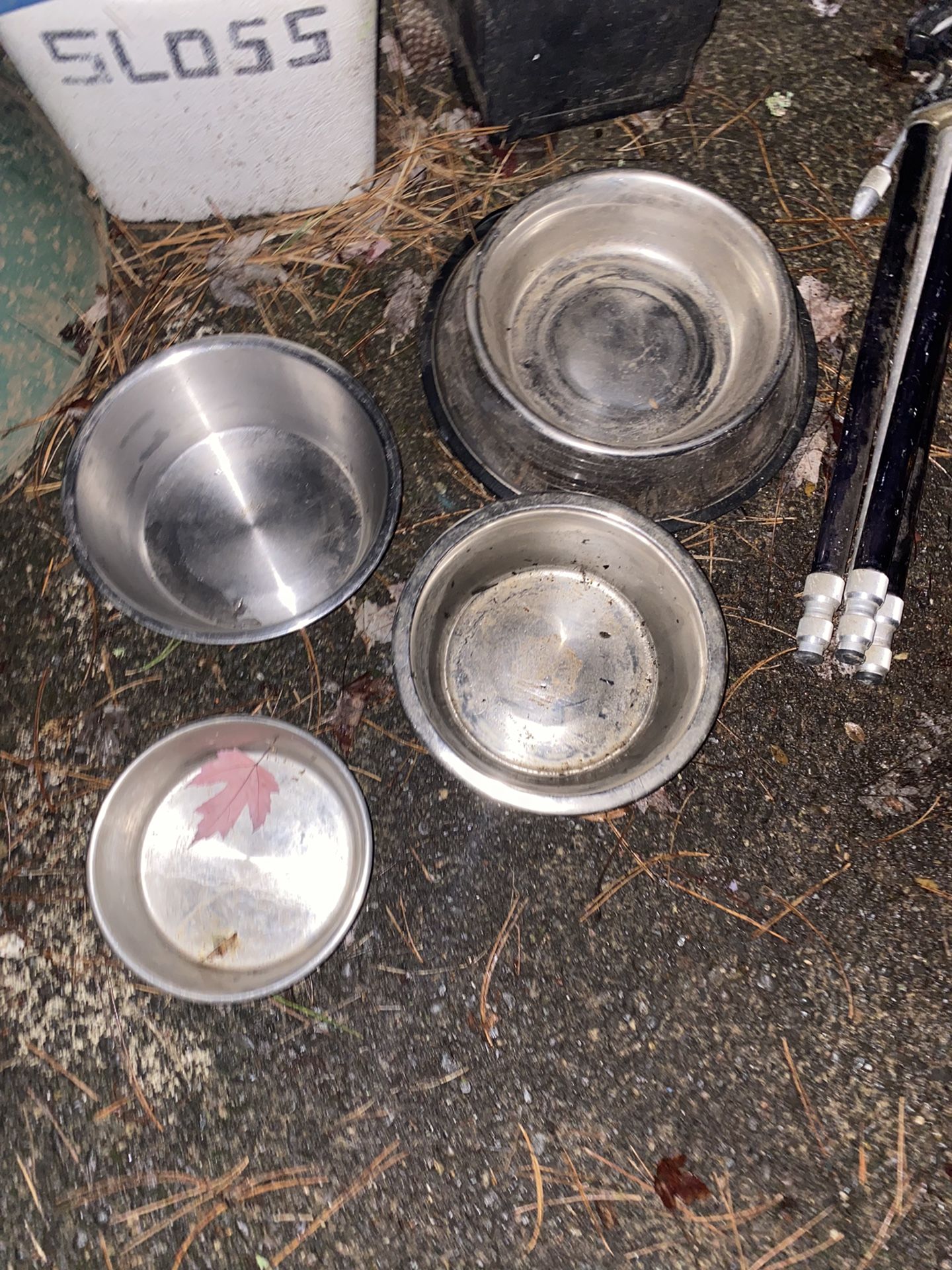 Dog Bowls