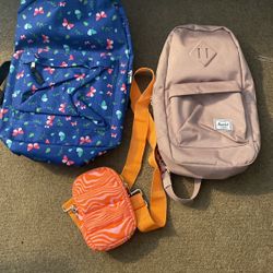 Backpack/ Crossbody Bag