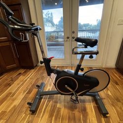 Sunny Magnetic Rear Belt Drive Cycling Exercise Bikes w RPM Cadence Sensor