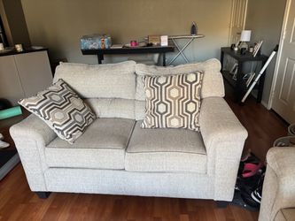 Living room sofa and Love seat