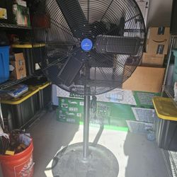 Fan