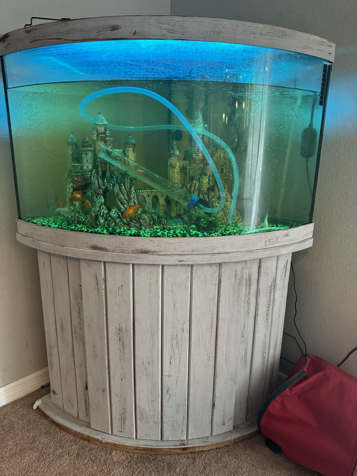 50 Gallon Corner Fish Tank.
