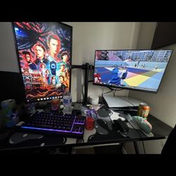 Two 24” Monitors 