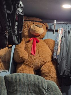 Huge Teddy Bear