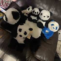 Panda Plush Lot! 6 Panda Plushies!