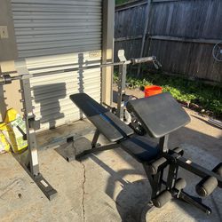 Bench and Barbell