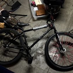 Elite Bandit 29"