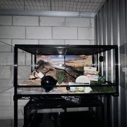 50 Gallon Tank And Supplies (Including Lights)