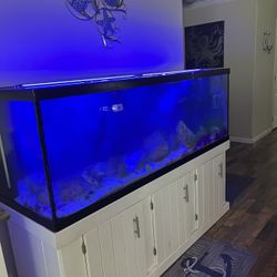 180 Gallon Saltwater Fish Tank 