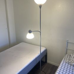 Lamps With Bulbs