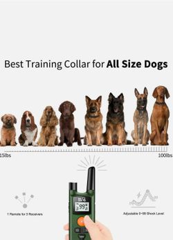 DOG CARE Dog Training Collar with a green remote transmitter