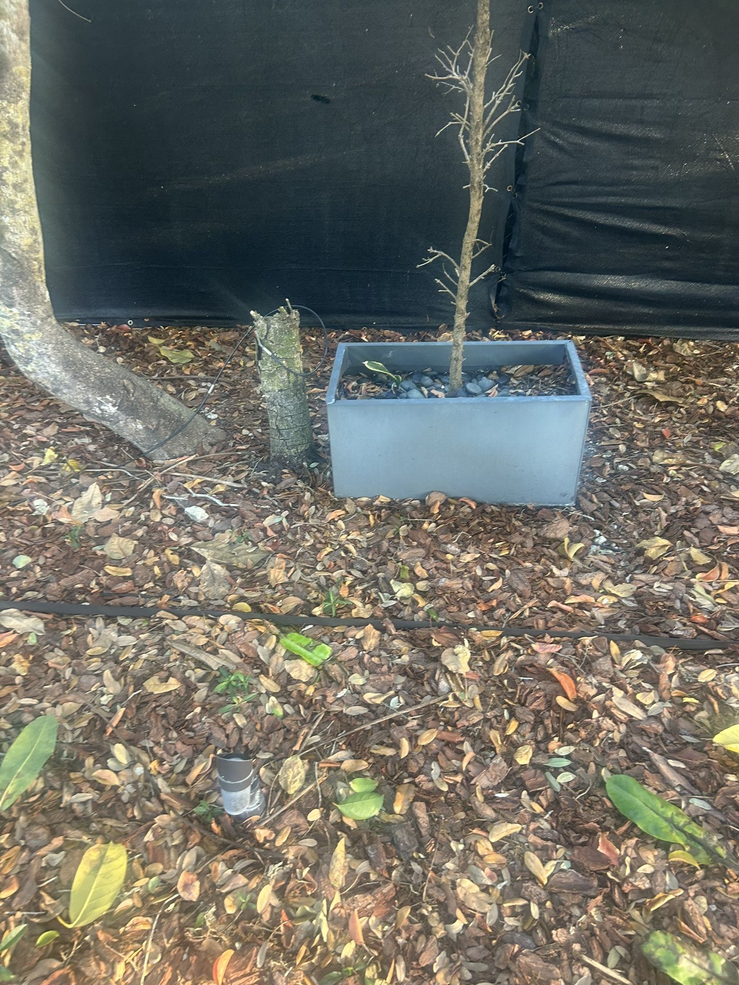 Grey Plant Pot