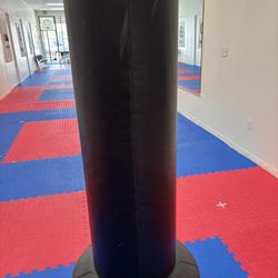 Tall Kicking Punching Target 