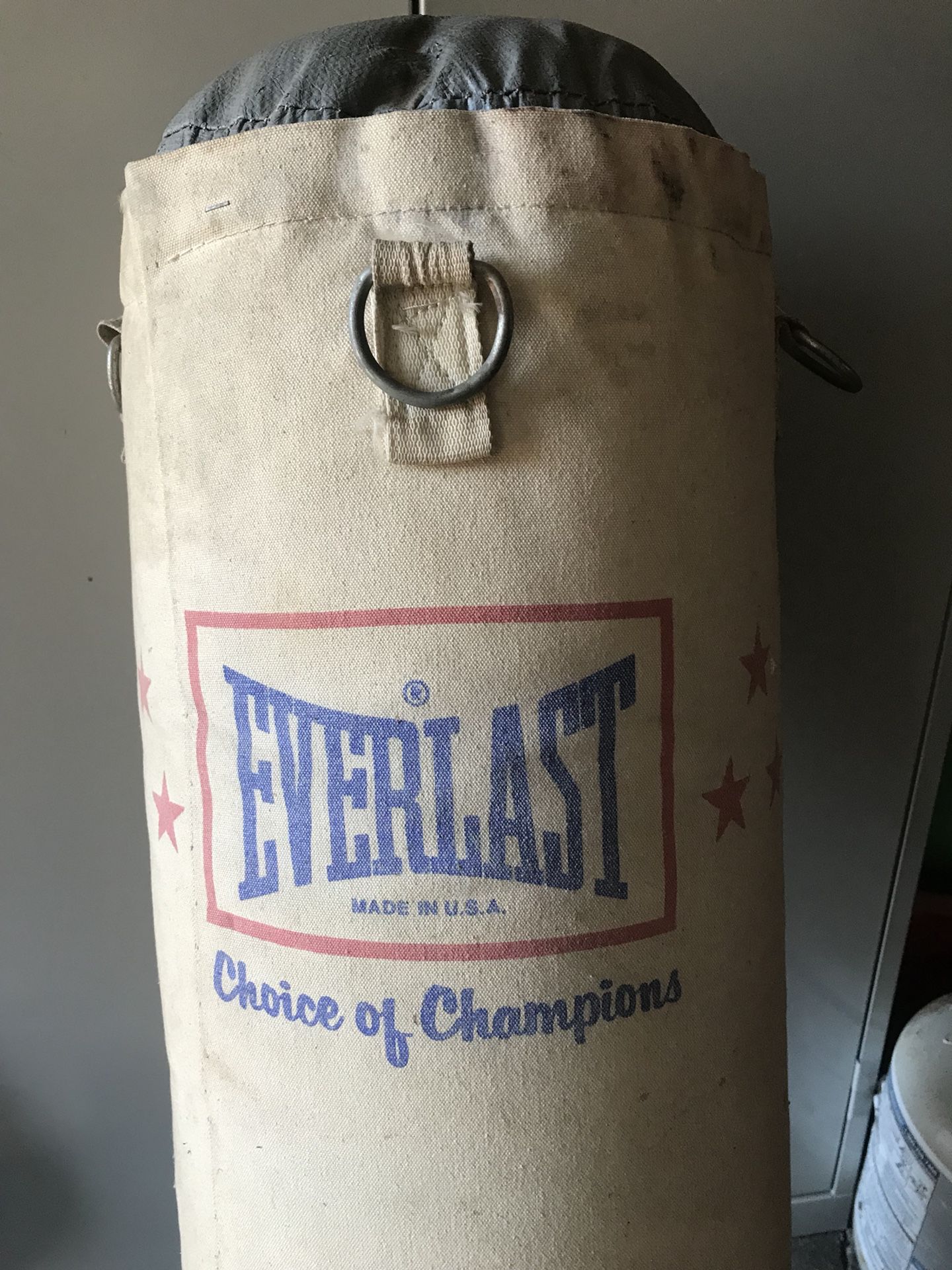 Everlast 100 lbs bag