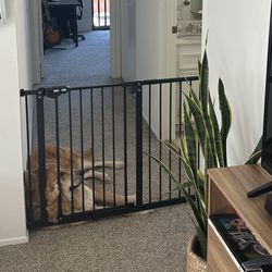 Pet Gate / Baby Gate