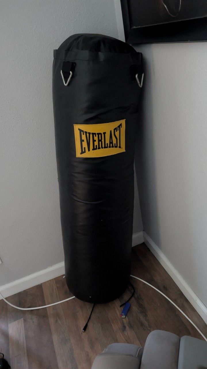 Everlast punching bag