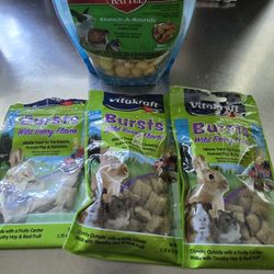 Free Rabbit Treats 🐇 