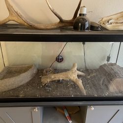 70 Gallon Tank