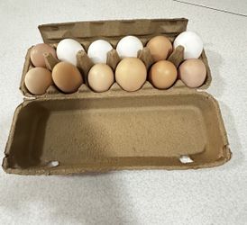 Huevos Organicos . Organigs Eggs