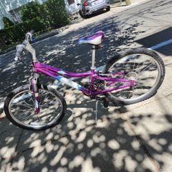 GARY FISHER Tyro Hardtail 24 Inch 21 Speed Mountain Bike