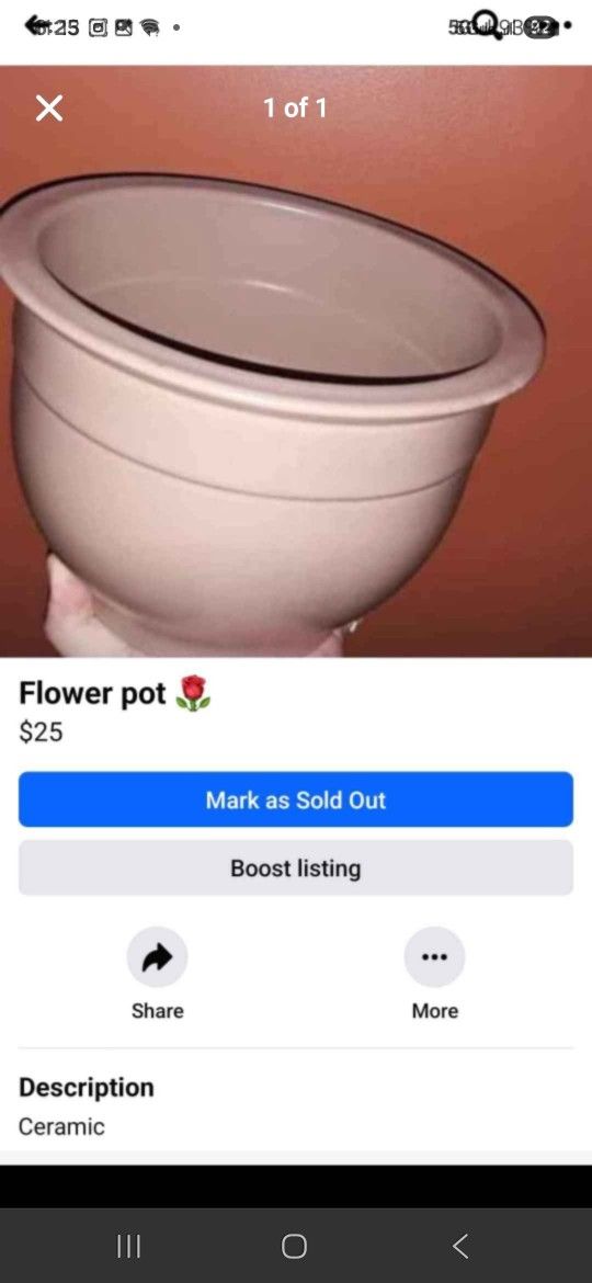 Flower Pot 🌼