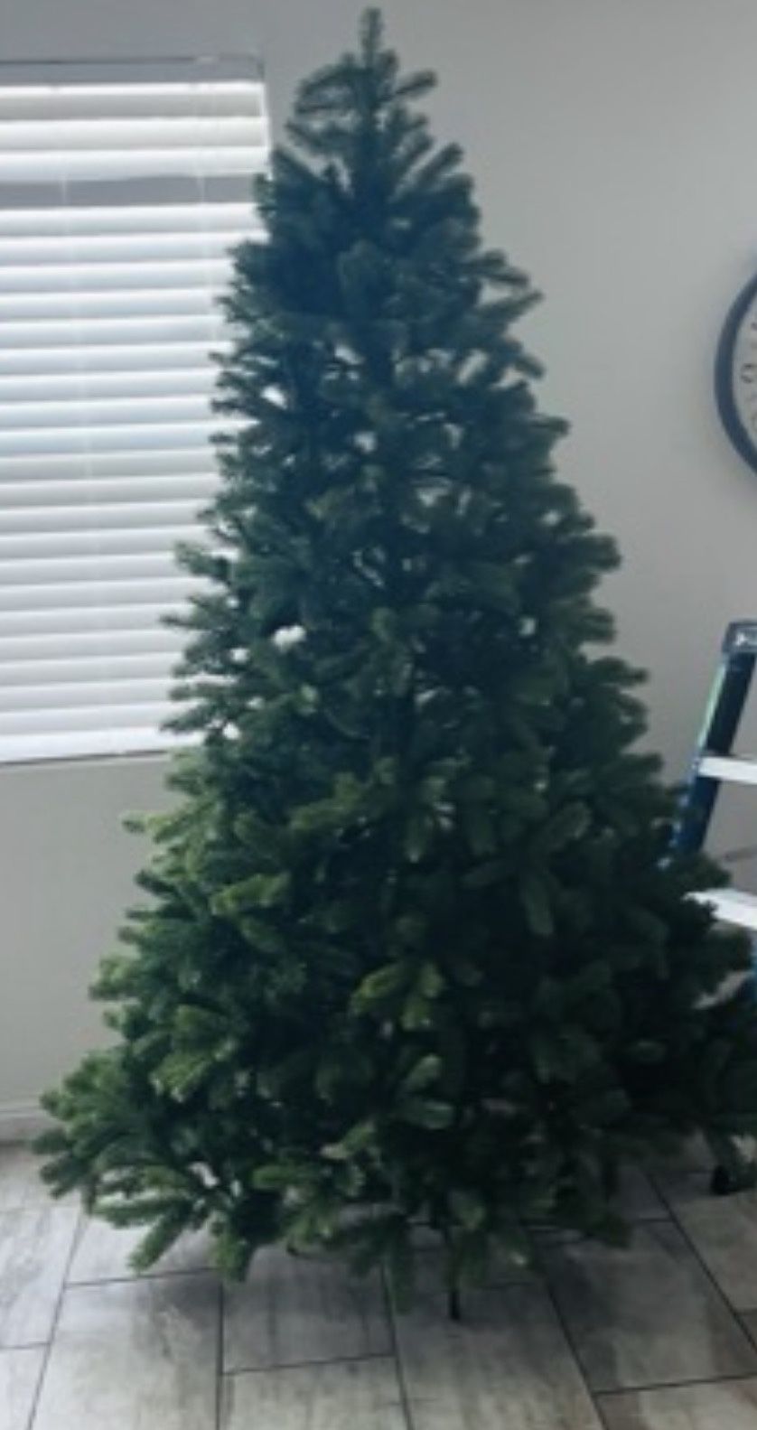 7.5 Douglas Fir Christmas Tree 100$