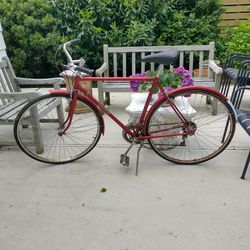 *** RALEIGH HYBIRD / CRUSIER BICYCLE 21" FRAME ***⁵