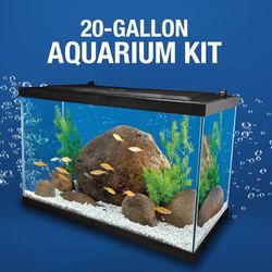 20 gallon aquarium Kit, with Automatic Feeder, Light, Food, Salt, Air Pump
