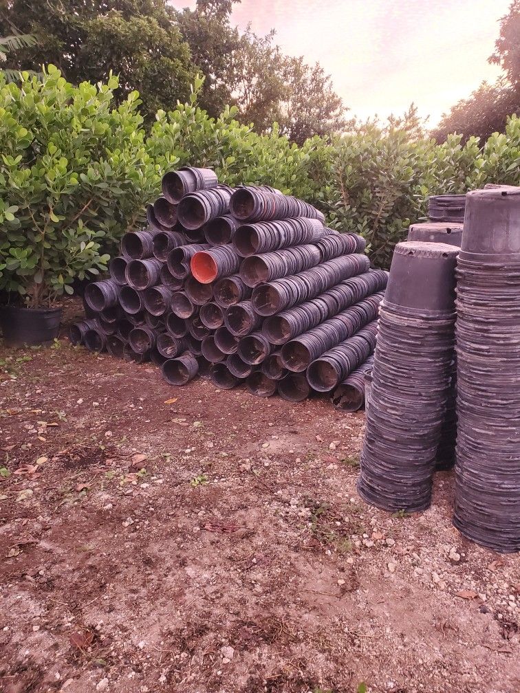 Used Nursery Pots