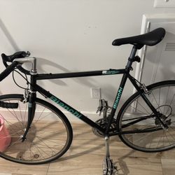 Bianchi 