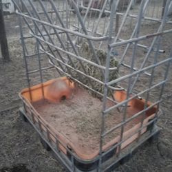 Horse Feeders, Animal, Goat Feeder, Farm, Pit Food