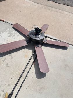 Fan