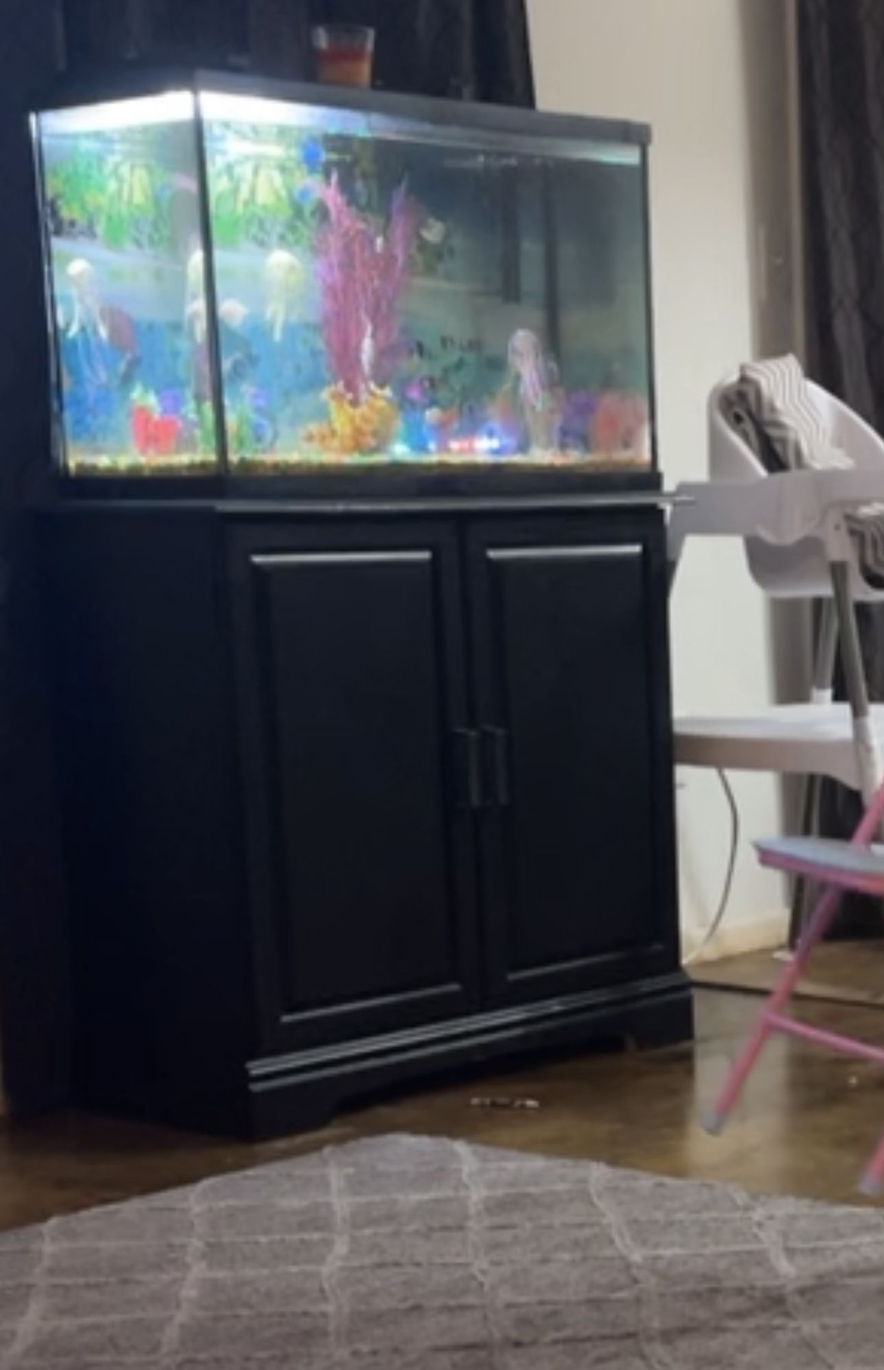 Fish Tank