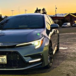 2024 Toyota Corolla