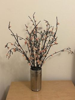 Plant Decoration