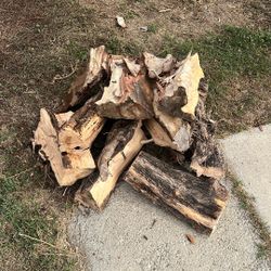 Dry Firewood Logs 