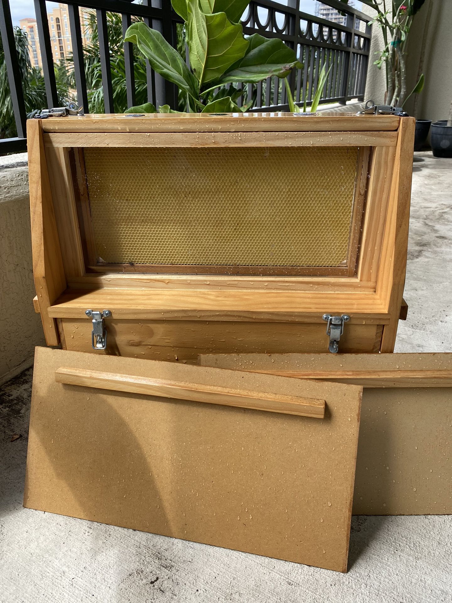 Man Lake Honey Bee Observation Hive Beekeeping