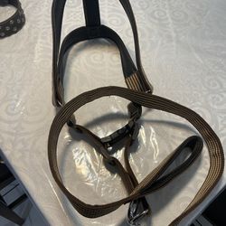 Dog Harness / Leash