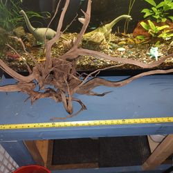Large Driftwood 