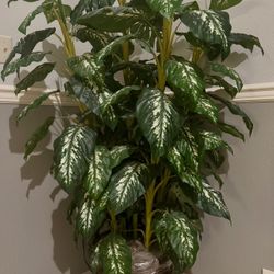 5’ Decorative Plant 