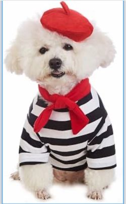 New: Artist Dog Costume with Funny Hat Painter Pet Clothes for small dogs(2XL)