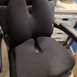 C Cushion Lab Lumbar Pillow & Seat Cushion