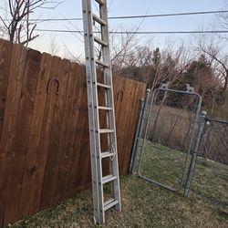 Werner Ladder 20ft