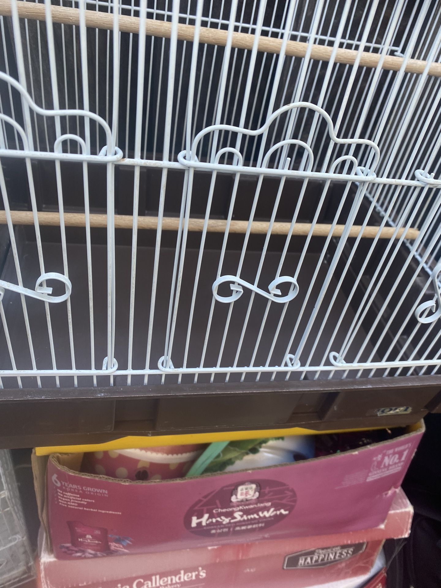 Birds Cage New