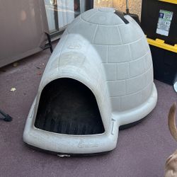Indigo Dog House